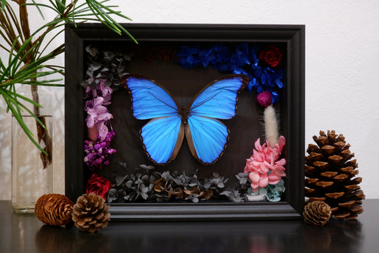 Frame/Dome Diorama Workshops