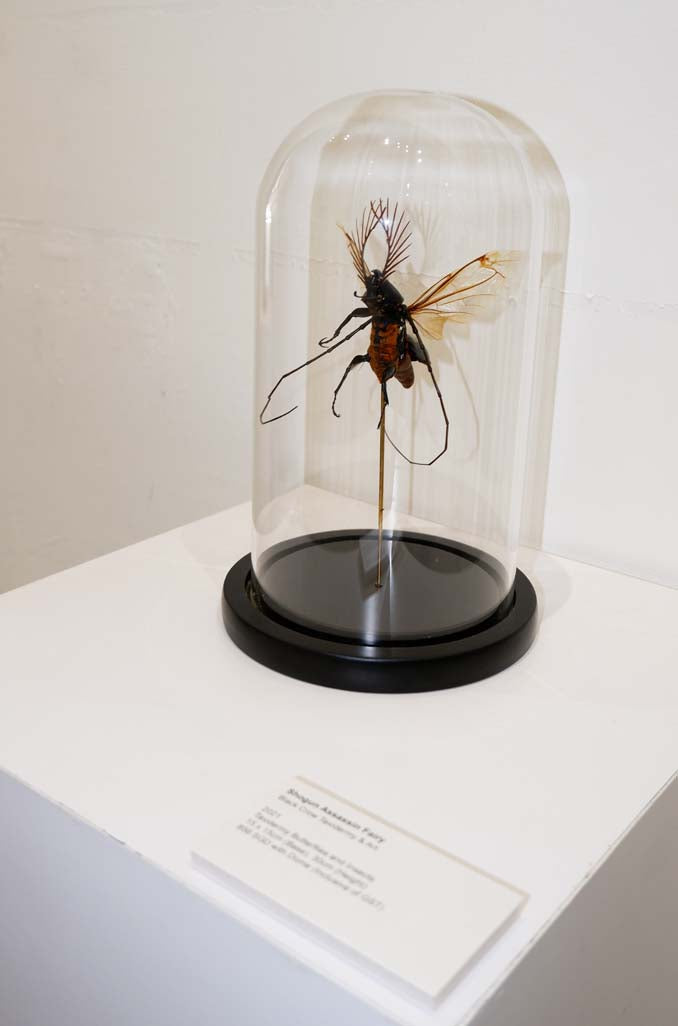Chimera Taxidermy - Shogun Assassin Fairy
