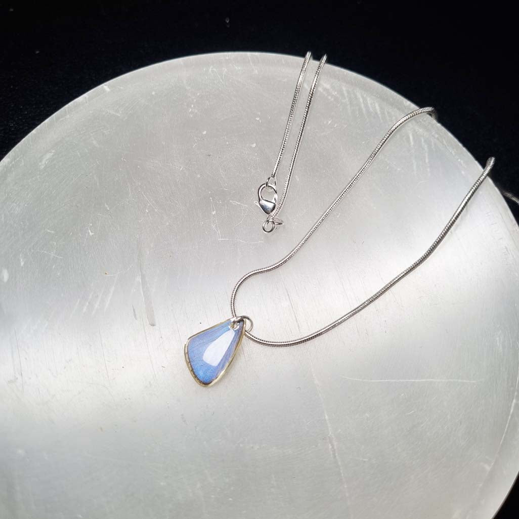 Butterfly Earrings