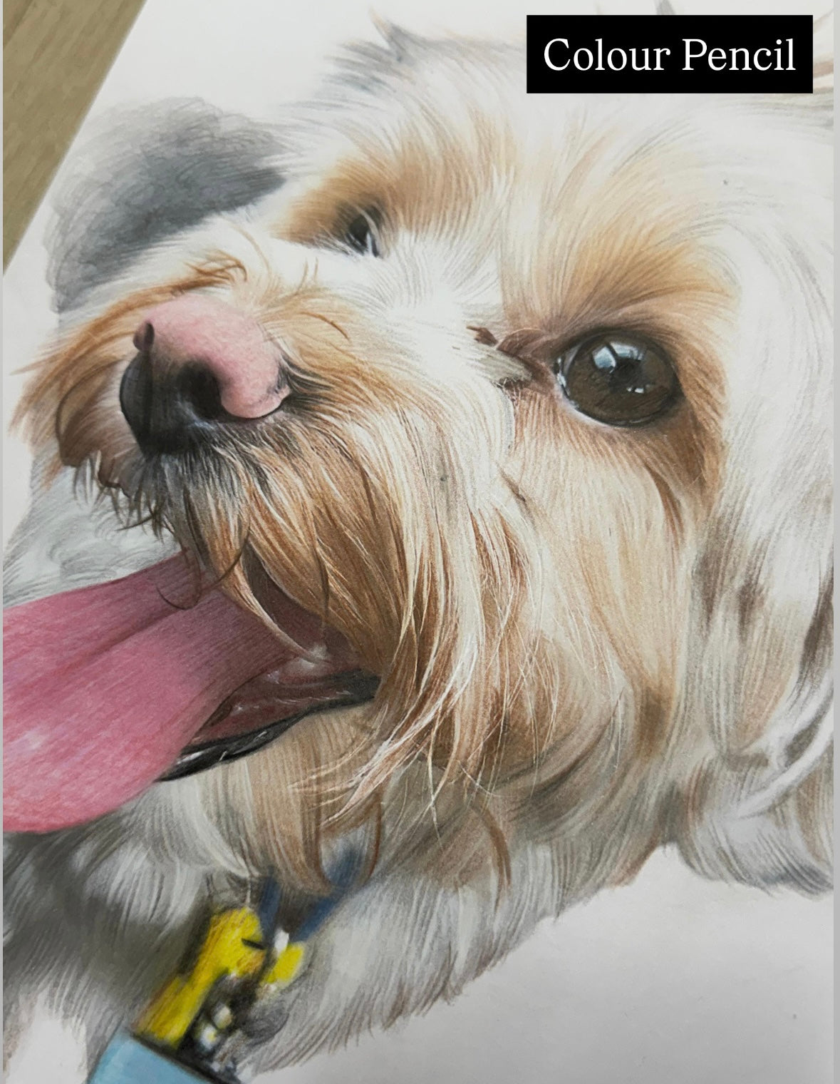 Custom Pet Portrait
