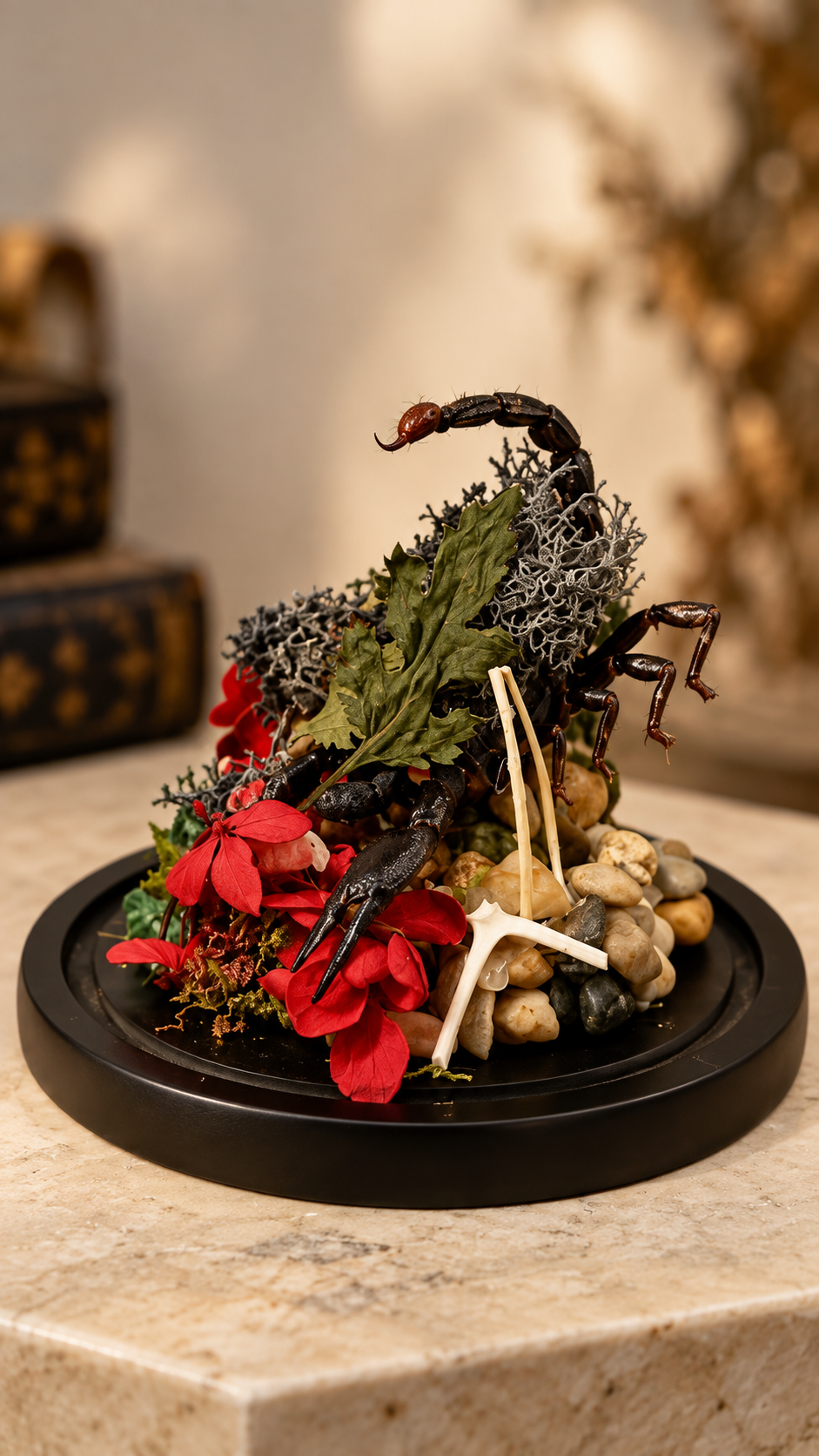 Halloween Specials Workshops
