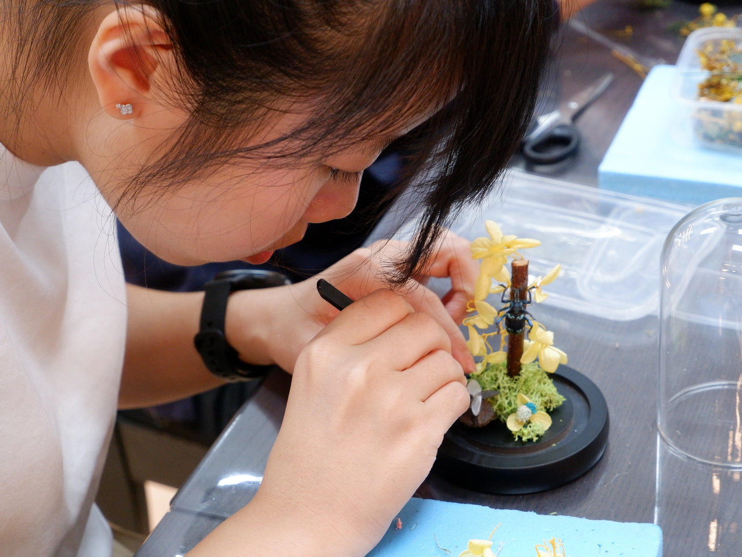Frame/Dome Diorama Workshops