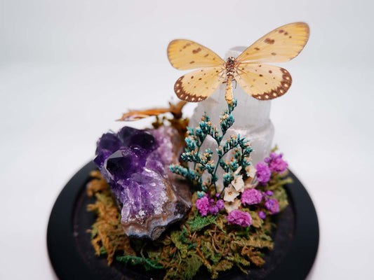 Summer Crystal Butterfly Dome