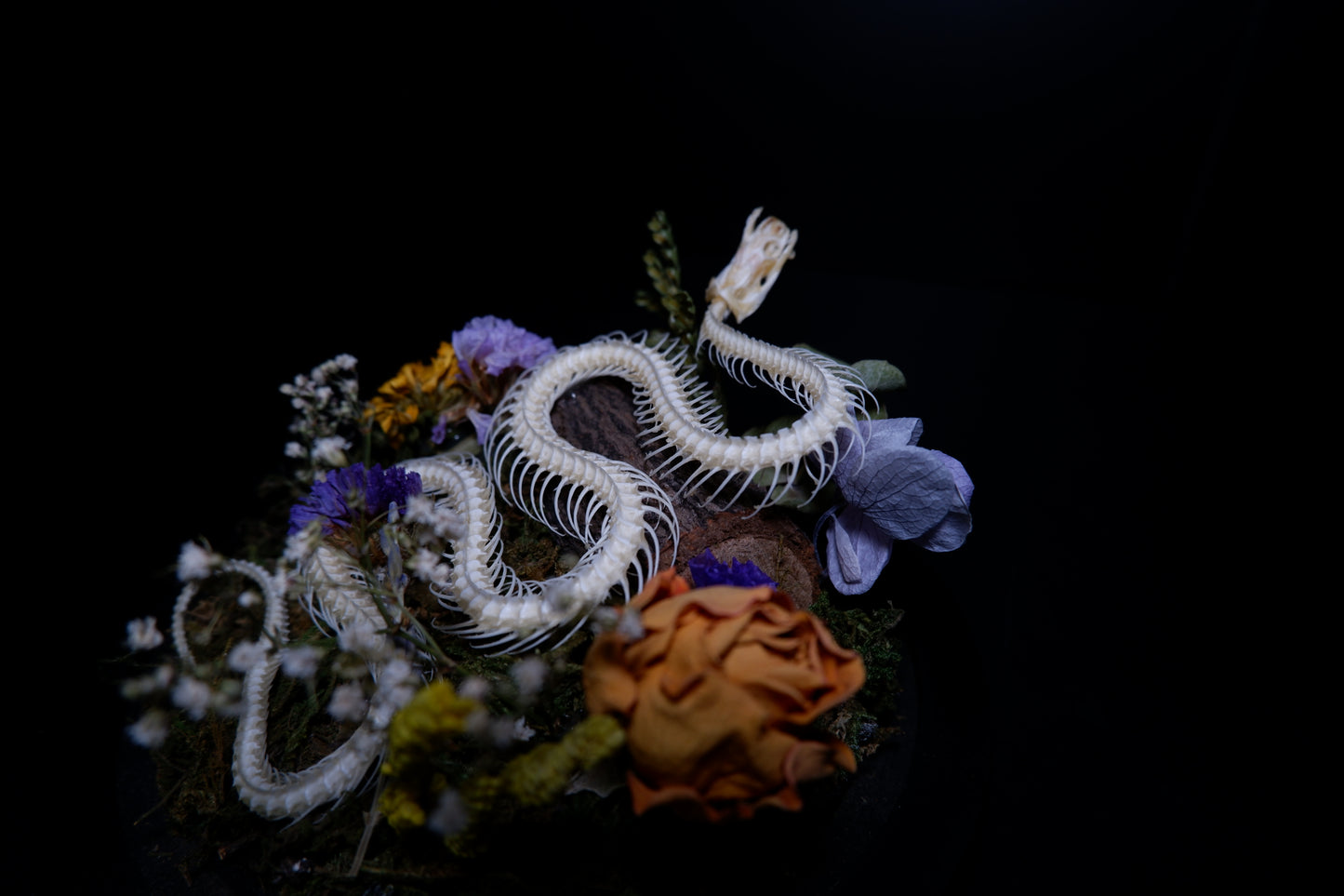 Halloween Specials Workshops