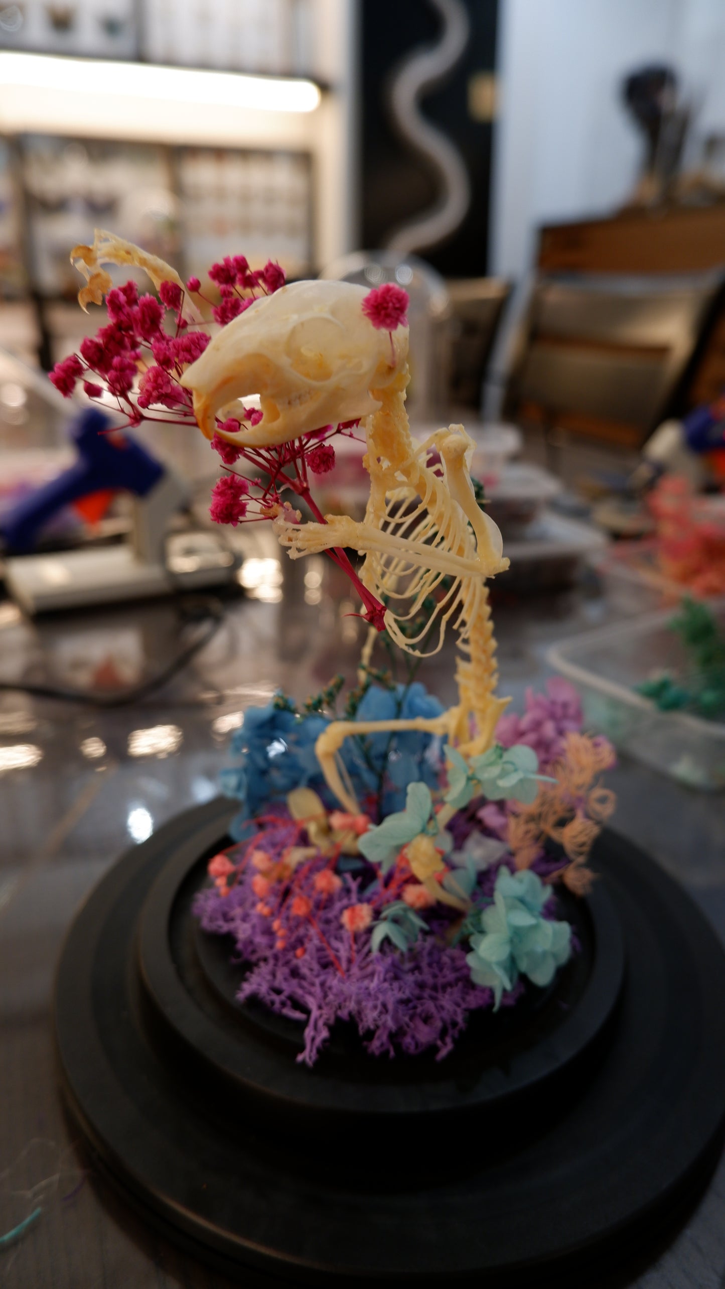 Skeleton Artriculation Workshop