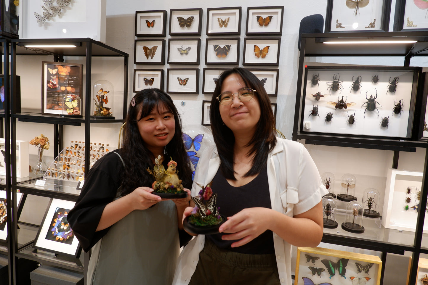 Chicky / Duckling Dome Workshop
