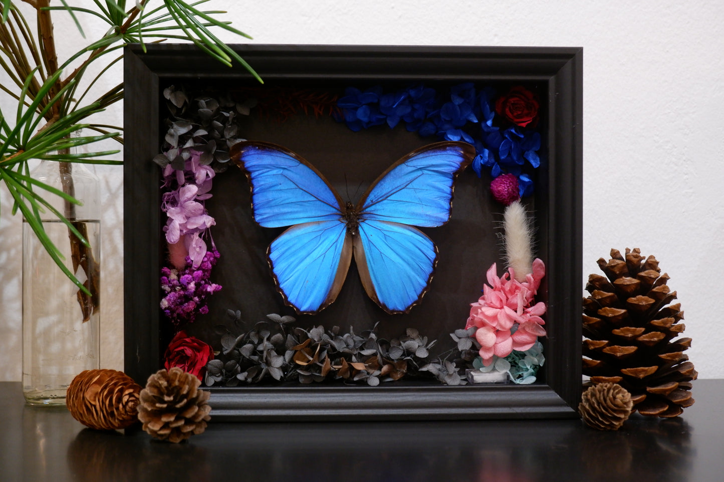 Frame/Dome Diorama Workshops