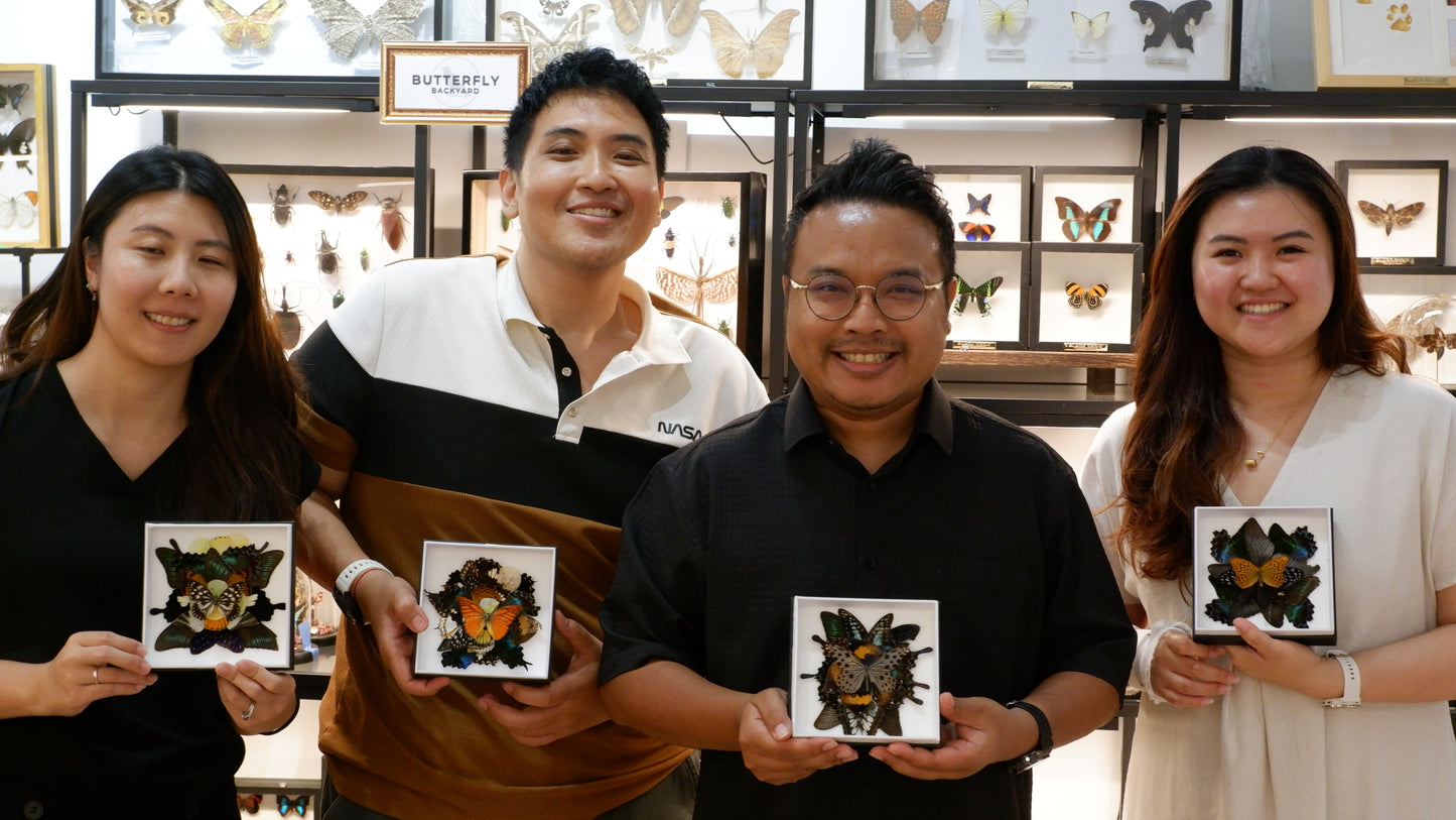 Butterfly Mandala Frame Workshop : Wings in Symmerty