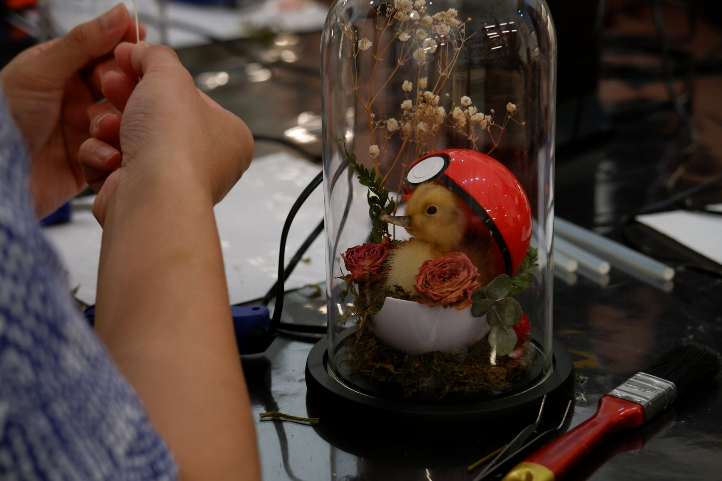 Chicky / Duckling Dome Workshop