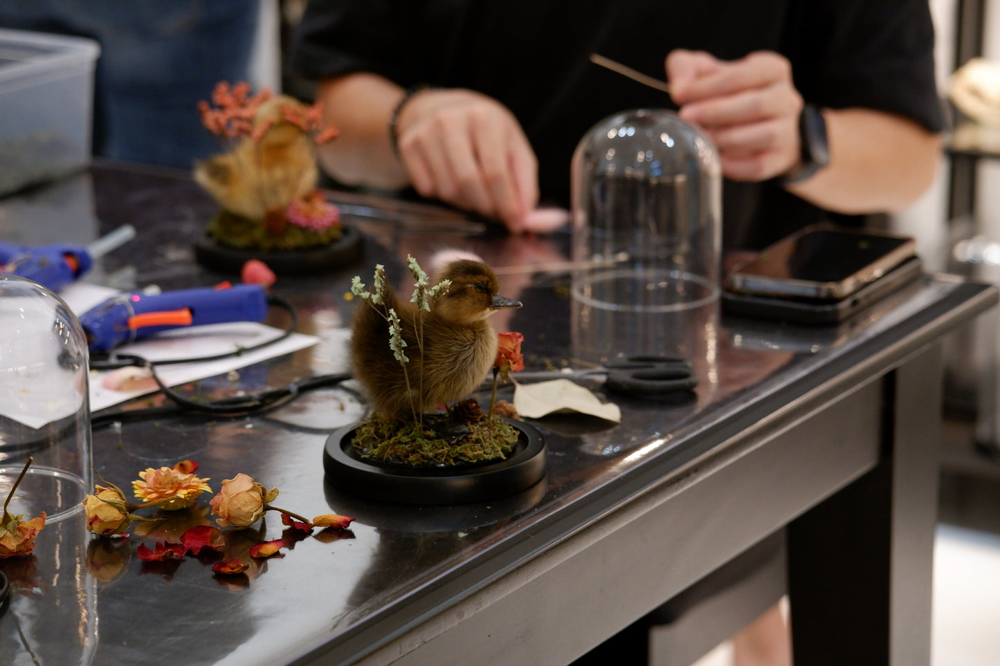Chicky / Duckling Dome Workshop