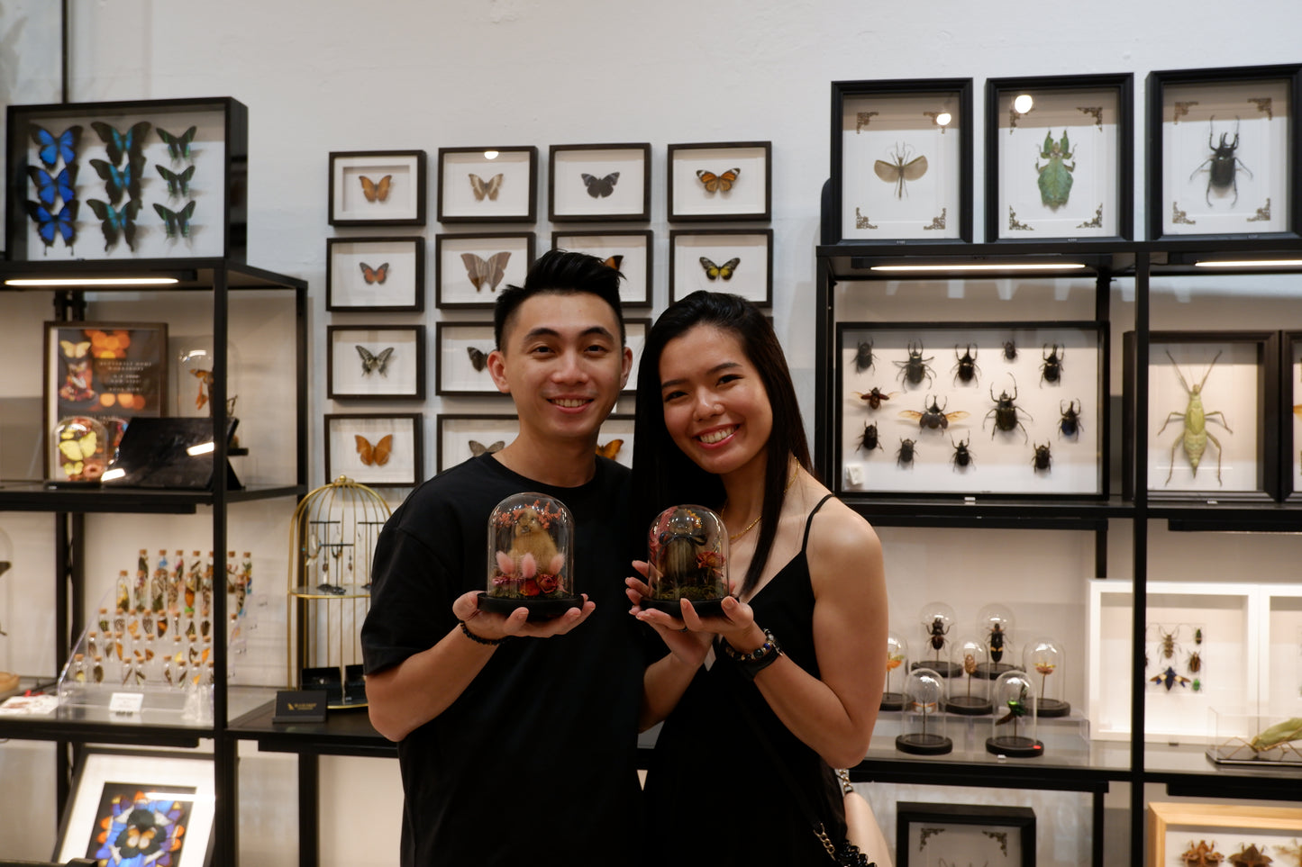 Chicky / Duckling Dome Workshop