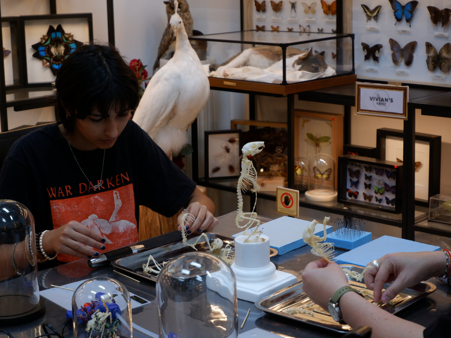 Skeleton Artriculation Workshop