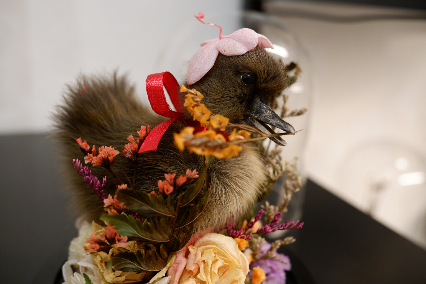 Chicky / Duckling Dome Workshop