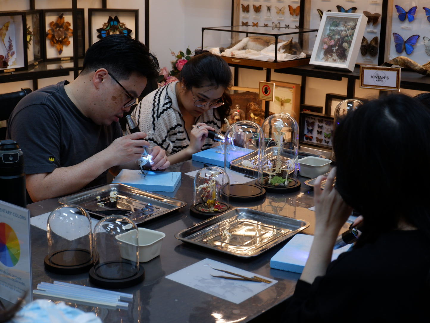 Skeleton Artriculation Workshop