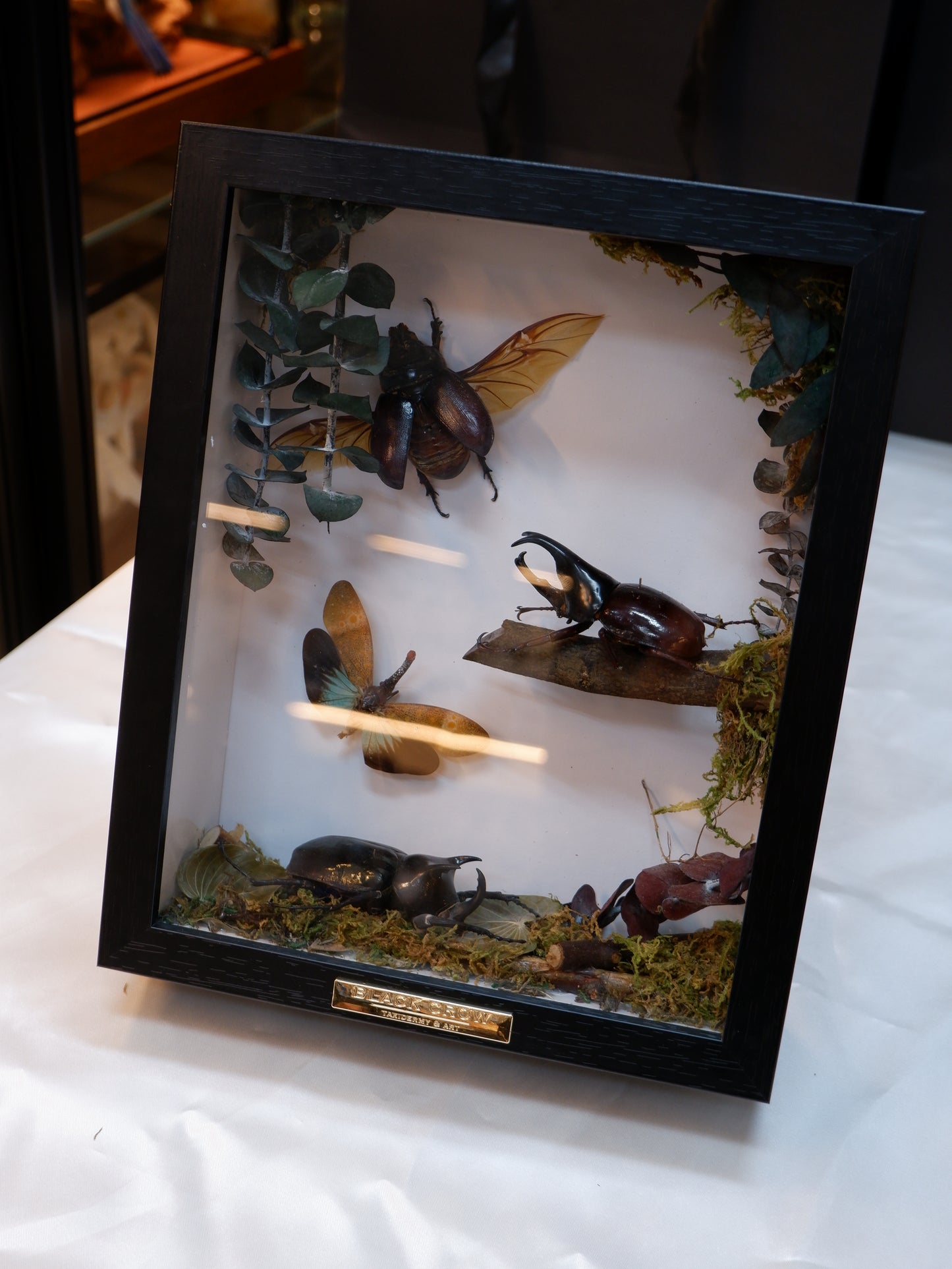 Frame/Dome Diorama Workshops
