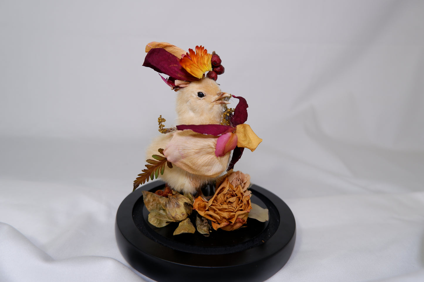Chicky / Duckling Dome Workshop