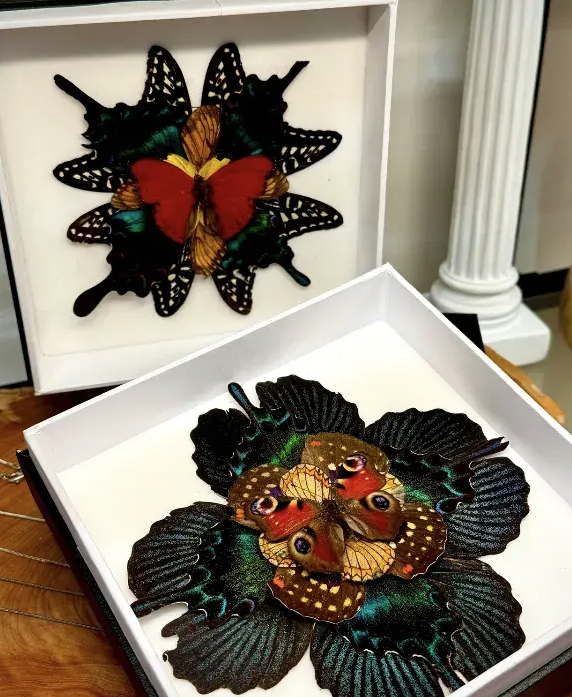 Butterfly Mandala Frame Workshop : Wings in Symmerty