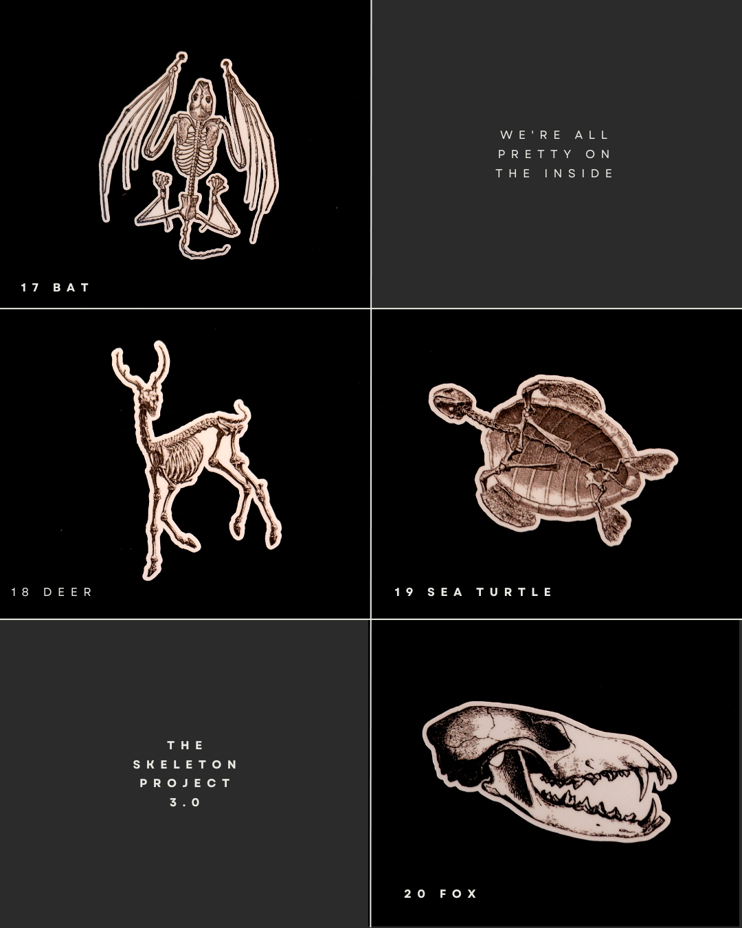 The Animal Project - Sticker Set