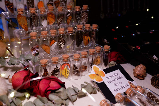 Butterfly Wing Vial
