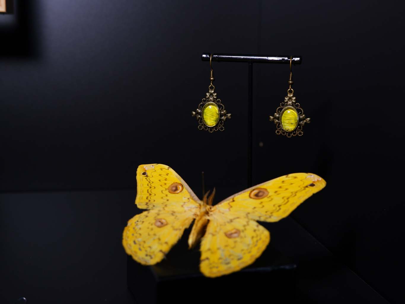 Butterfly Dangle Earring