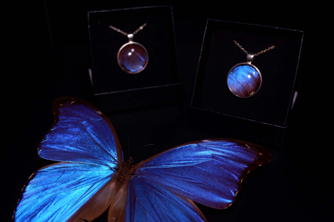 Blue Morpho Necklace