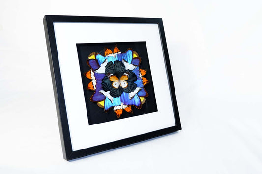 Mandala Butterfly Frame (Pride)