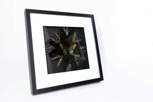Mandala Butterfly Frame (Envy)